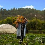 Farmer carrying the sunlight pump in Honduras