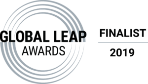 global_leap_award_silver logo