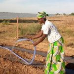 Woman watering crops, Eco Tech, Mali 